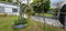 First image of C-2f Woodlawn Ave in Kingston 19, St. Andrew, Jamaica - property is For Rent