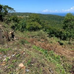 First image of 15 Belle Air, Runaway Bay in Belle Air, St. Ann, Jamaica - property is For Sale