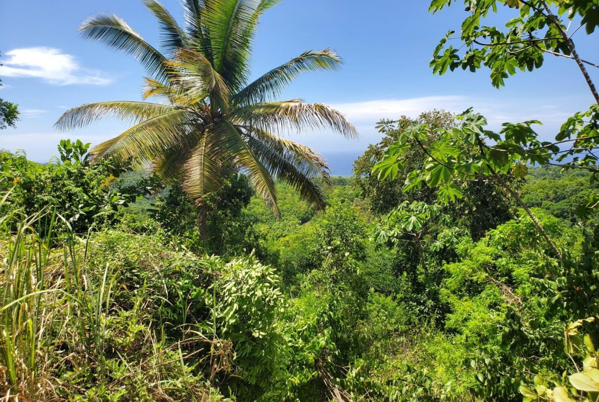 Fourth image of 15 Belle Air, Runaway Bay in Belle Air, St. Ann, Jamaica - property is For Sale