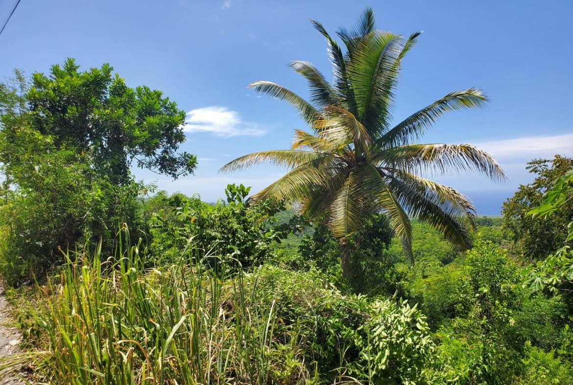 Fifth image of 15 Belle Air, Runaway Bay in Belle Air, St. Ann, Jamaica - property is For Sale