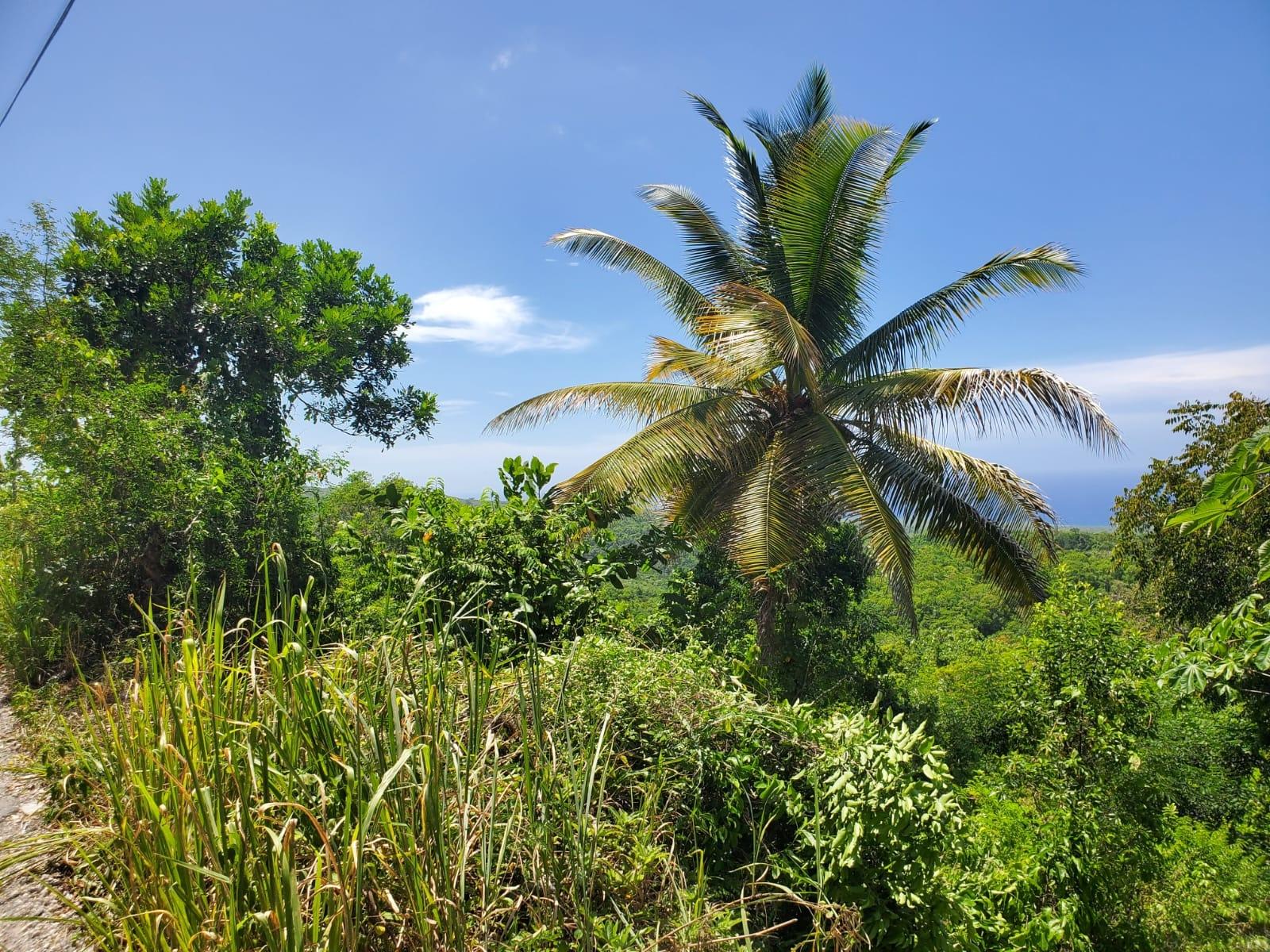 Fifth image of 15 Belle Air, Runaway Bay in Belle Air, St. Ann, Jamaica - property is For Sale