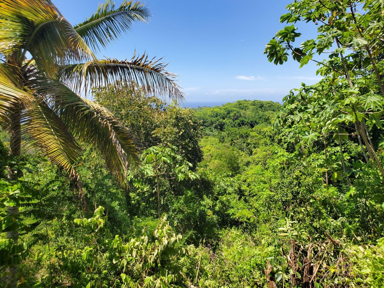 Sixth image of 15 Belle Air, Runaway Bay in Belle Air, St. Ann, Jamaica - property is For Sale