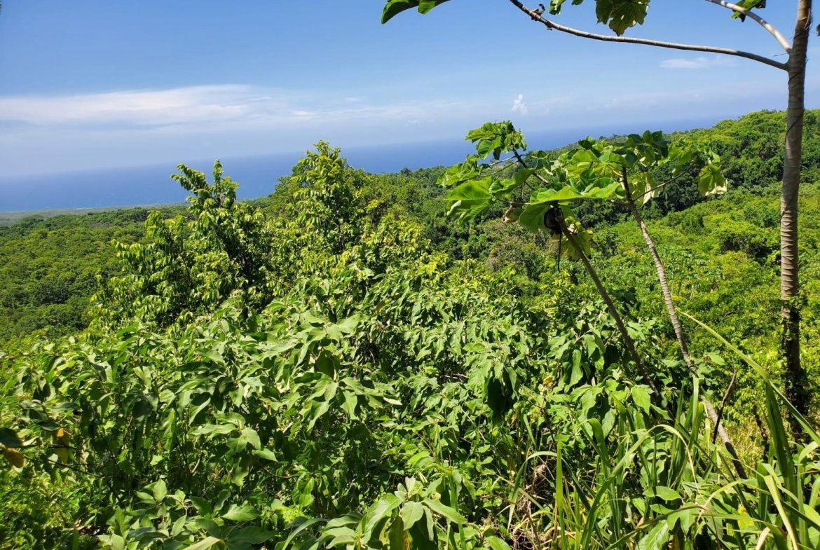 Seventh image of 15 Belle Air, Runaway Bay in Belle Air, St. Ann, Jamaica - property is For Sale