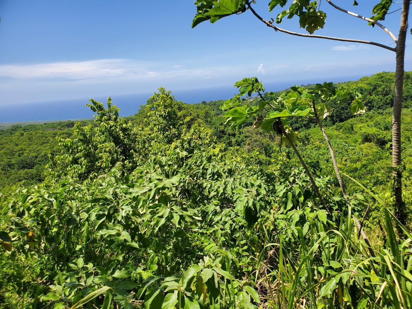 Seventh image of 15 Belle Air, Runaway Bay in Belle Air, St. Ann, Jamaica - property is For Sale