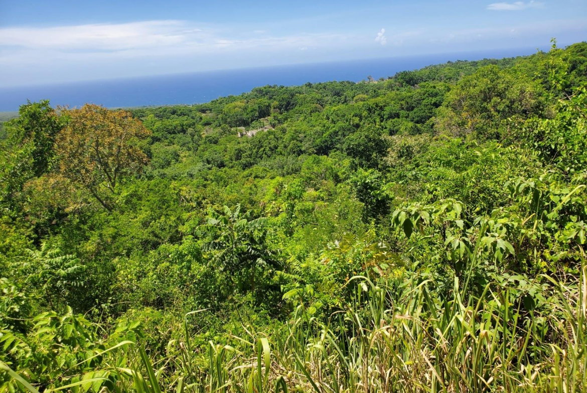 Eighth image of 15 Belle Air, Runaway Bay in Belle Air, St. Ann, Jamaica - property is For Sale