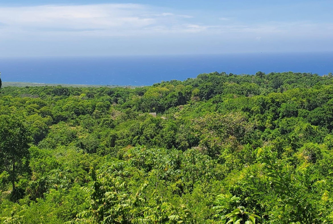 Ninth image of 15 Belle Air, Runaway Bay in Belle Air, St. Ann, Jamaica - property is For Sale