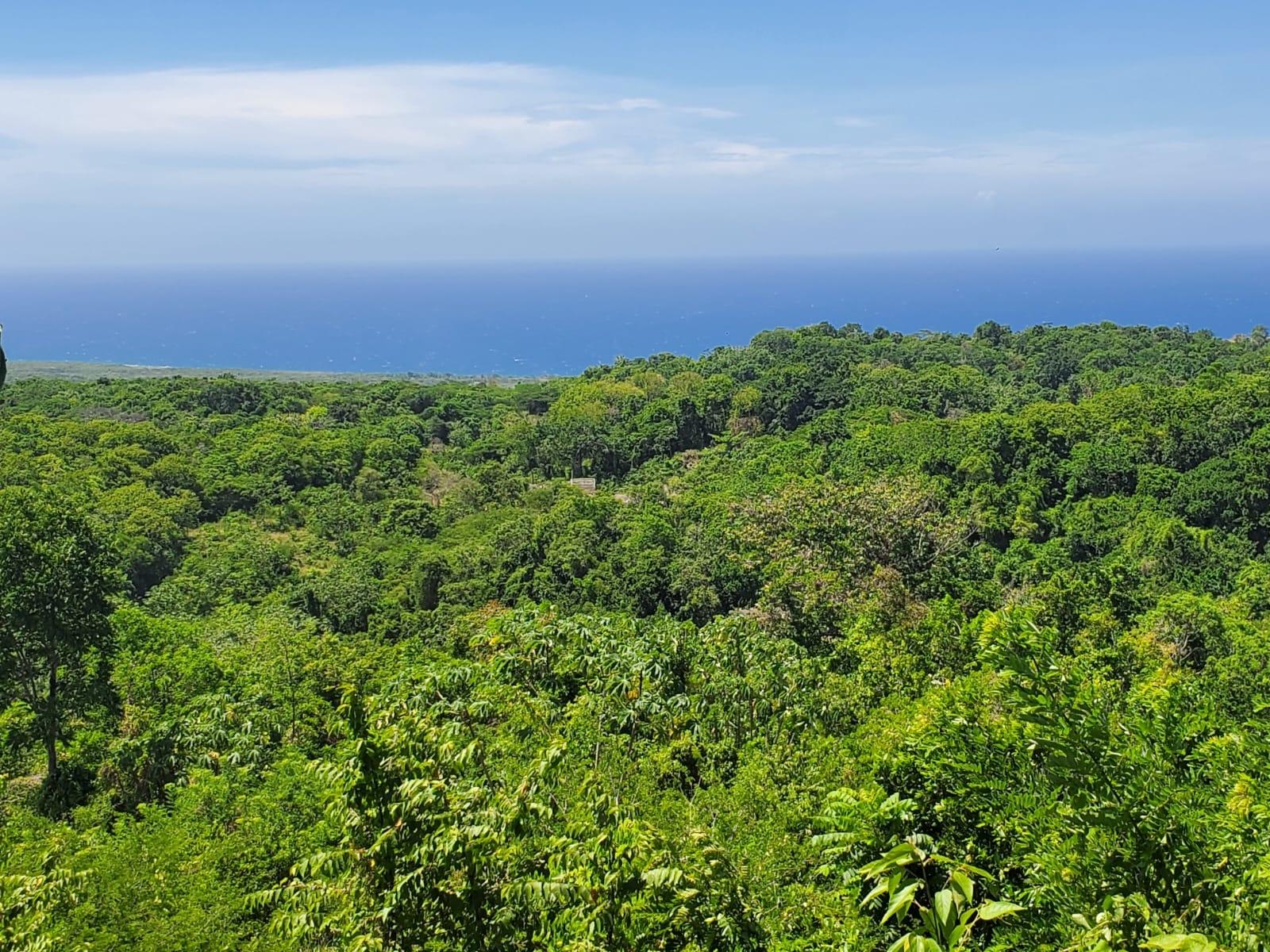 Ninth image of 15 Belle Air, Runaway Bay in Belle Air, St. Ann, Jamaica - property is For Sale