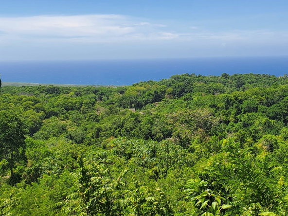 Ninth image of 15 Belle Air, Runaway Bay in Belle Air, St. Ann, Jamaica - property is For Sale