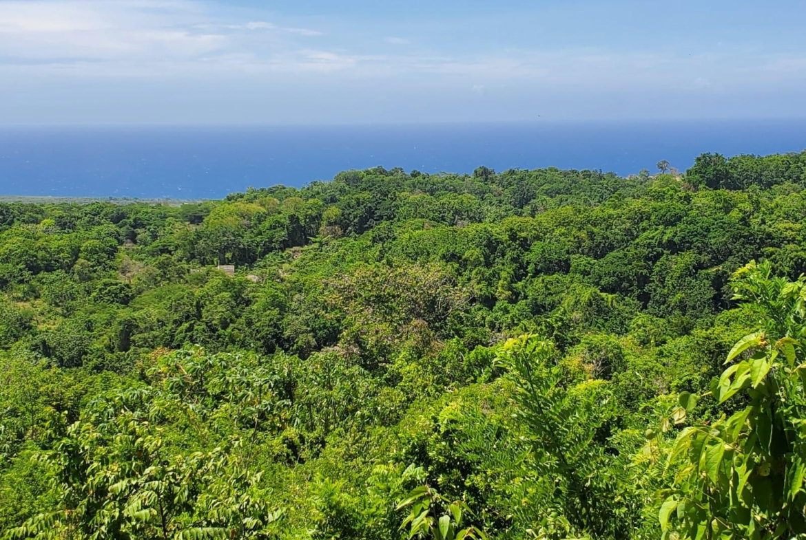 Tenth image of 15 Belle Air, Runaway Bay in Belle Air, St. Ann, Jamaica - property is For Sale