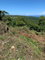 First image of 15 Belle Air, Runaway Bay in Belle Air, St. Ann, Jamaica - property is For Sale
