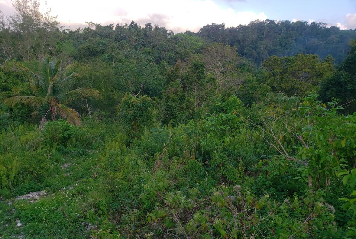 Second image of Bamboo, Hopewell in Hopewell, Hanover, Jamaica - property is For Sale