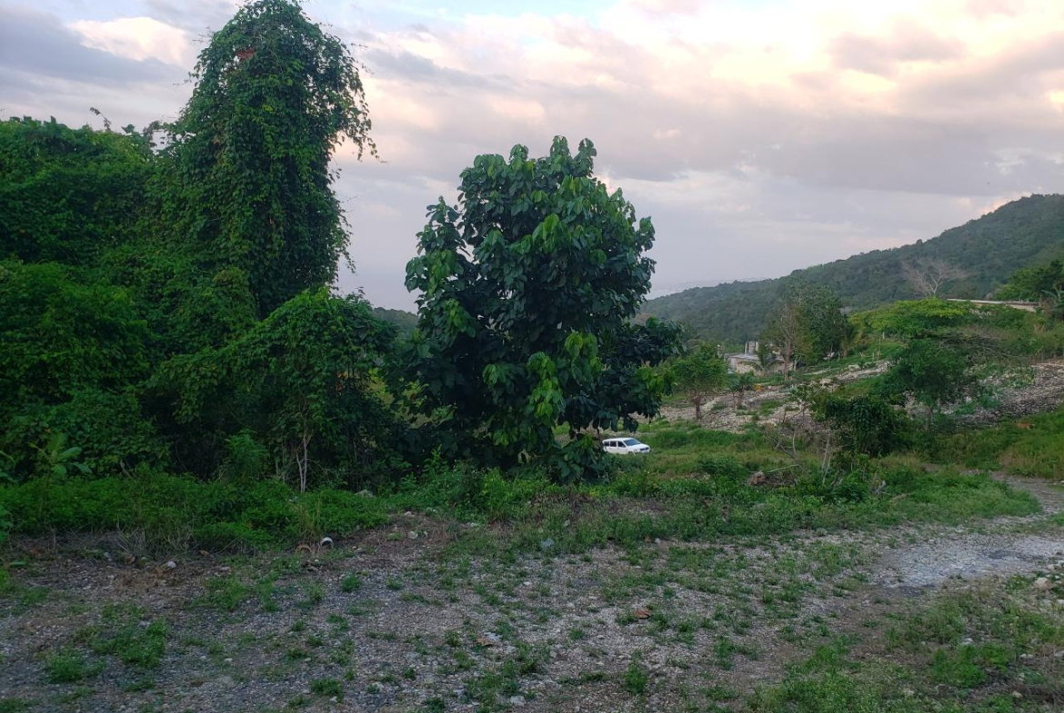 Fourth image of Bamboo, Hopewell in Hopewell, Hanover, Jamaica - property is For Sale