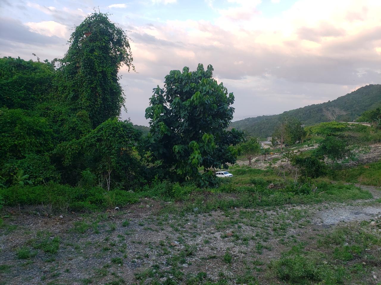 Development-Land-for-Sale-in-Bamboo-Hanover-Jamaica-–-9.5-Acres Fourth image of Bamboo, Hopewell in Hopewell, Hanover, Jamaica - property is For Sale