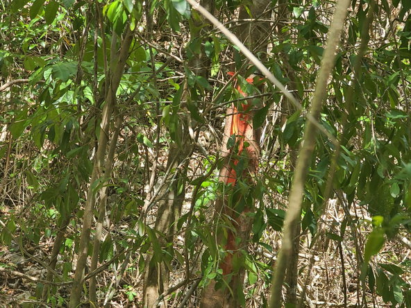Fourth image of 7a Sevens Plantation in Chapleton, Clarendon, Jamaica - property is For Sale