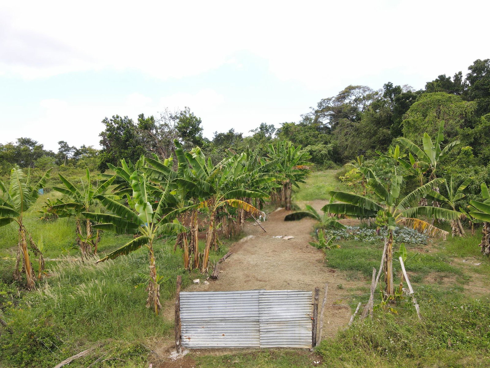 Second image of Queenhythe, Discovery Bay in Queenhythe, St. Ann, Jamaica - property is For Sale