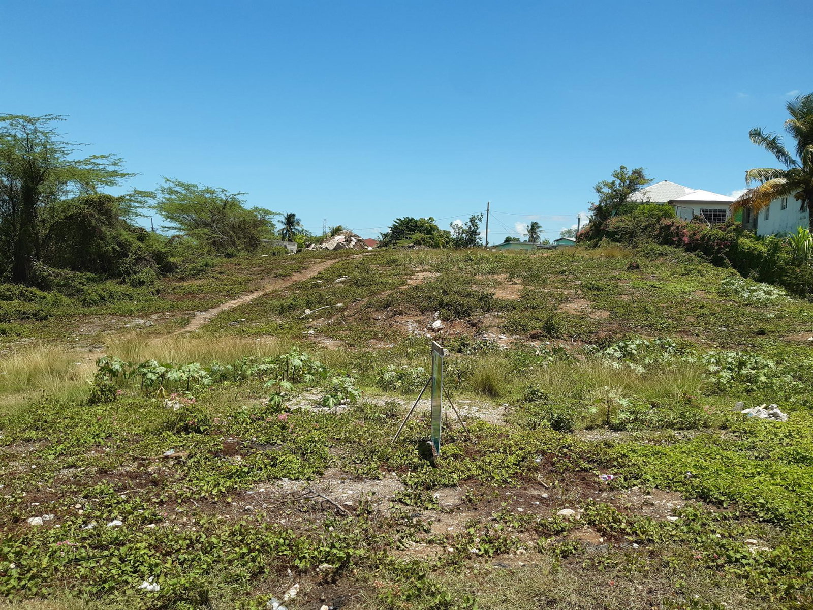 Second image of Freetown in Freetown, Clarendon, Jamaica - property is For Sale