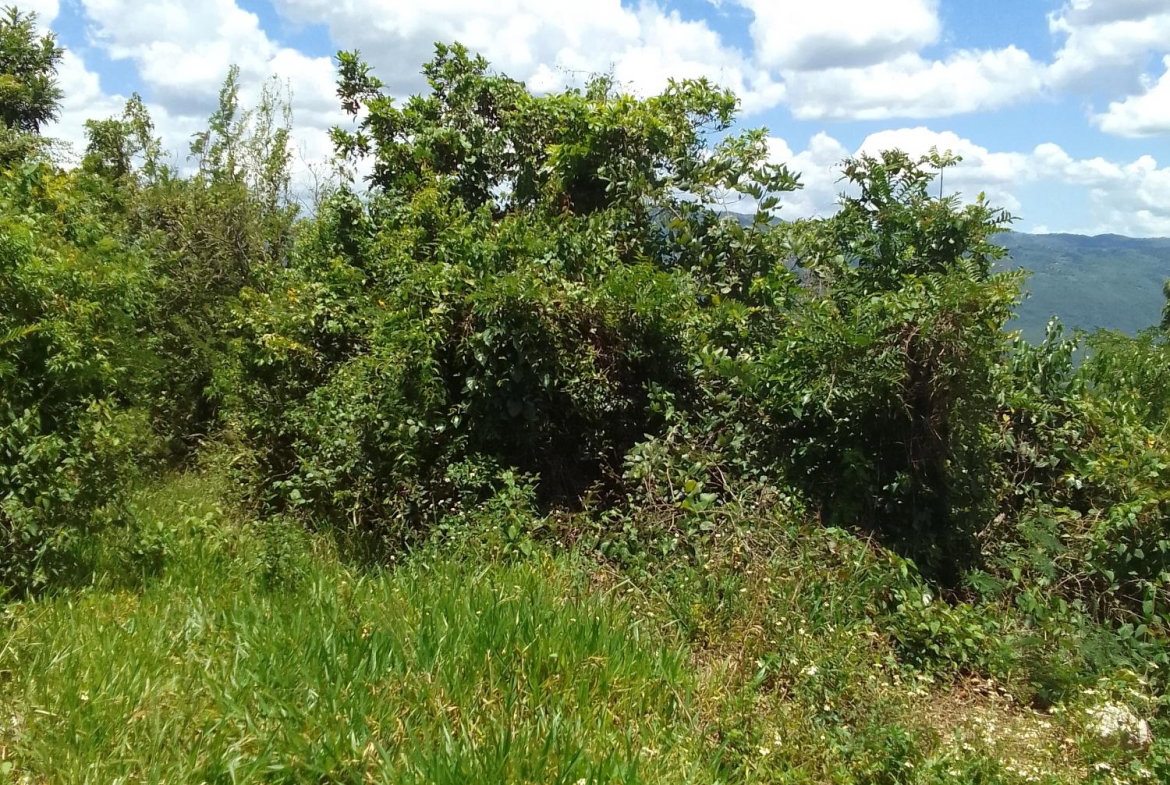 Second image of Lochaber, Belretiro in Richmond, Manchester, Jamaica - property is For Sale