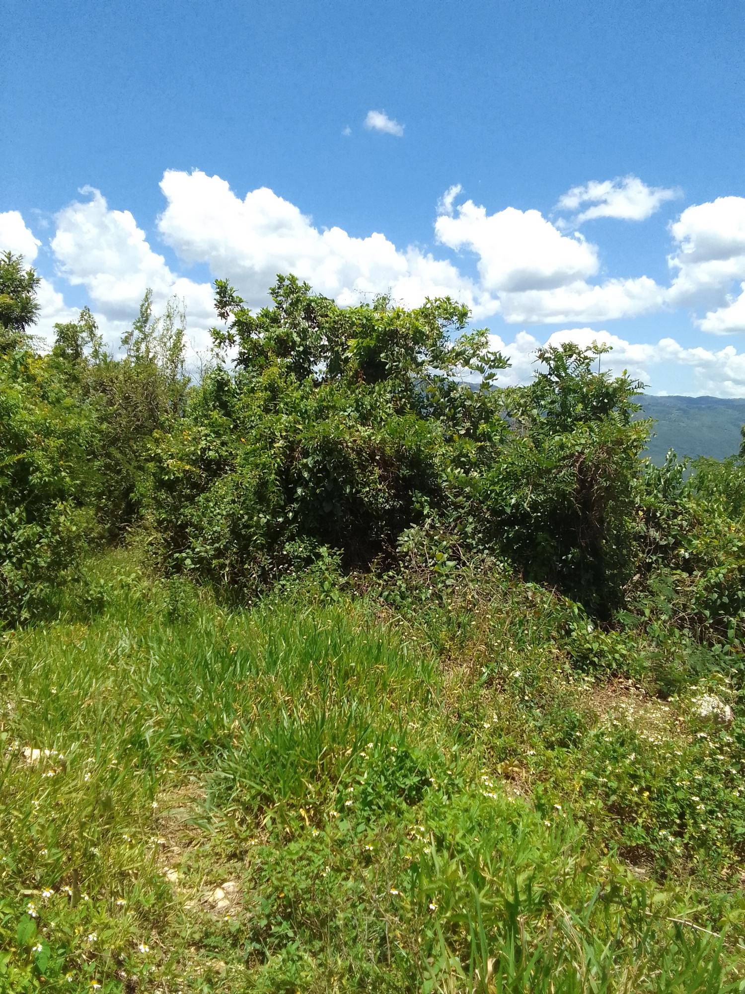 Development-Land-for-Sale-in-Lochaber-Belretiro-Manchester-Jamaica Second image of Lochaber, Belretiro in Richmond, Manchester, Jamaica - property is For Sale