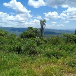 First image of Lochaber, Belretiro in Richmond, Manchester, Jamaica - property is For Sale