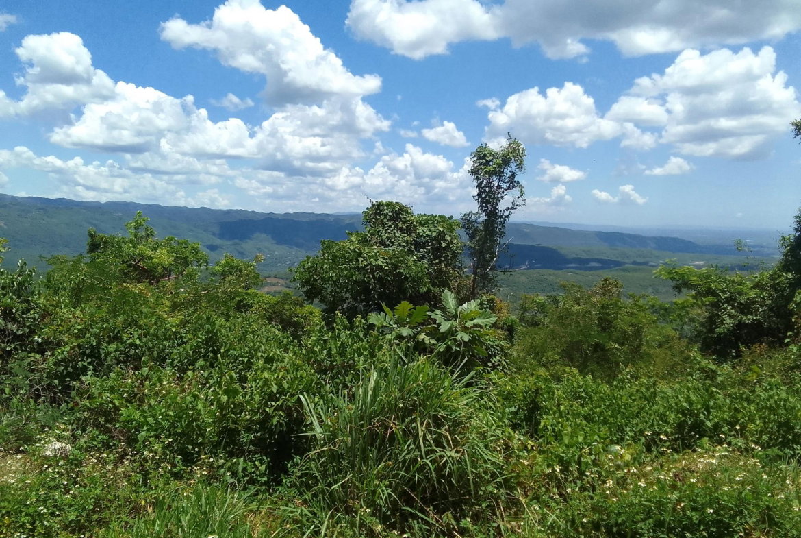 Third image of Lochaber, Belretiro in Richmond, Manchester, Jamaica - property is For Sale
