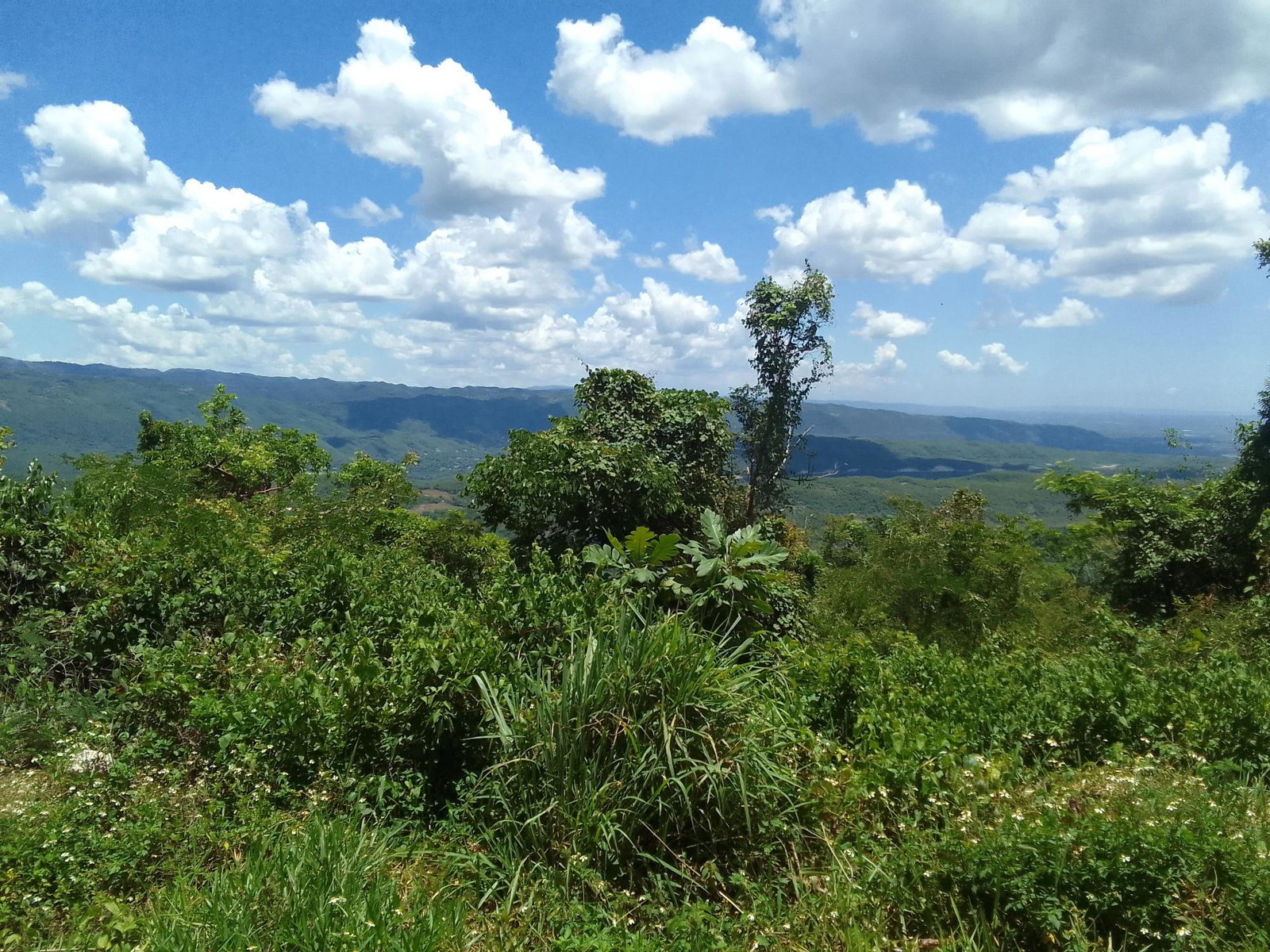 Development-Land-for-Sale-in-Lochaber-Belretiro-Manchester-Jamaica Third image of Lochaber, Belretiro in Richmond, Manchester, Jamaica - property is For Sale
