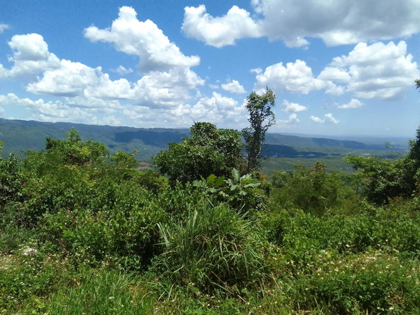 Third image of Lochaber, Belretiro in Richmond, Manchester, Jamaica - property is For Sale