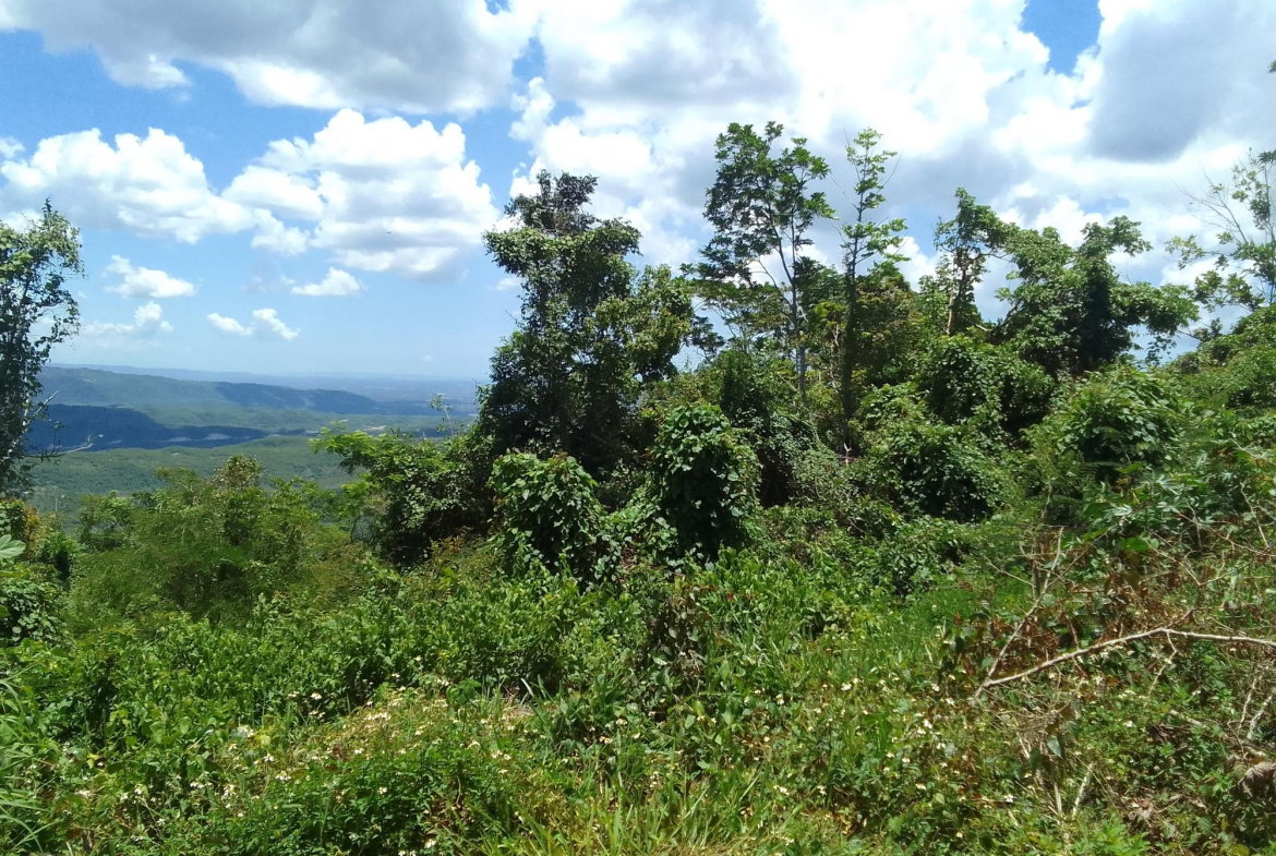 Fourth image of Lochaber, Belretiro in Richmond, Manchester, Jamaica - property is For Sale