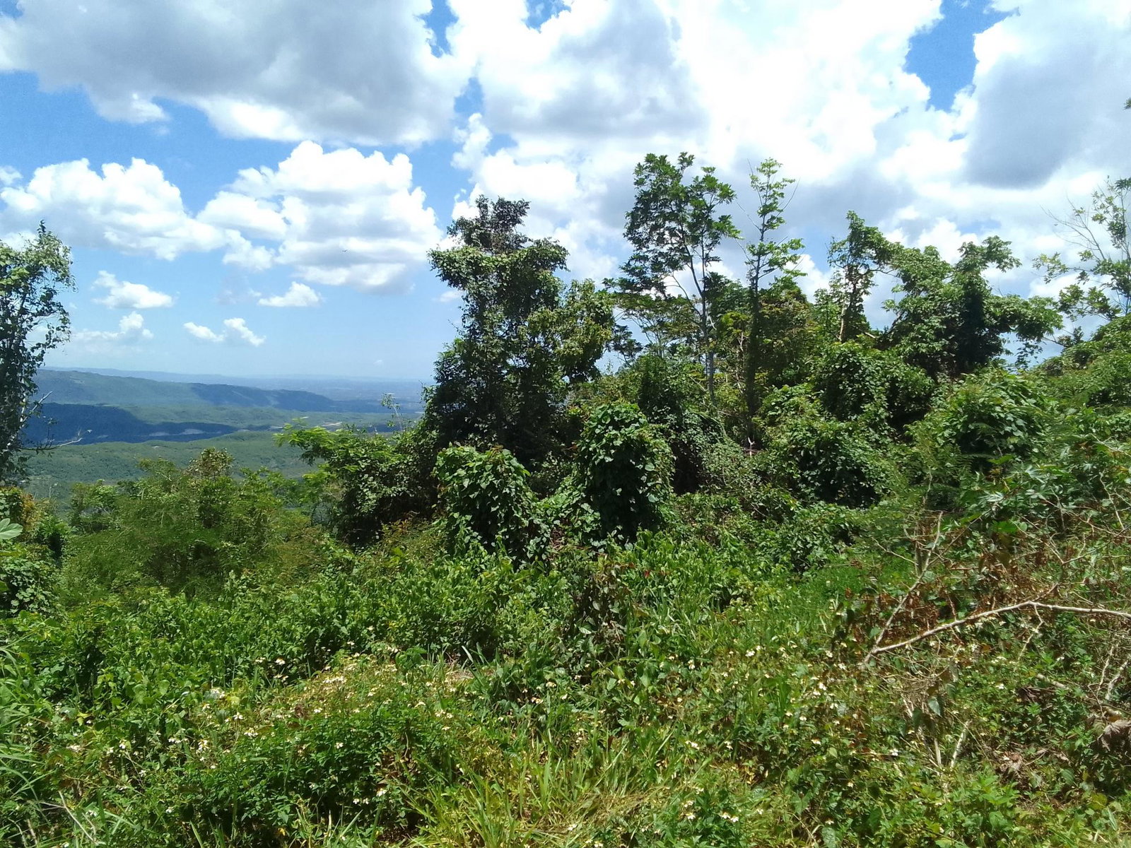 Development-Land-for-Sale-in-Lochaber-Belretiro-Manchester-Jamaica Fourth image of Lochaber, Belretiro in Richmond, Manchester, Jamaica - property is For Sale