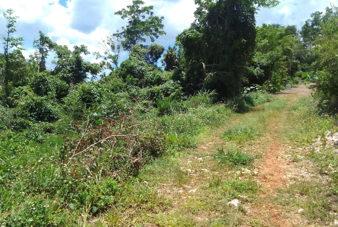 Fifth image of Lochaber, Belretiro in Richmond, Manchester, Jamaica - property is For Sale