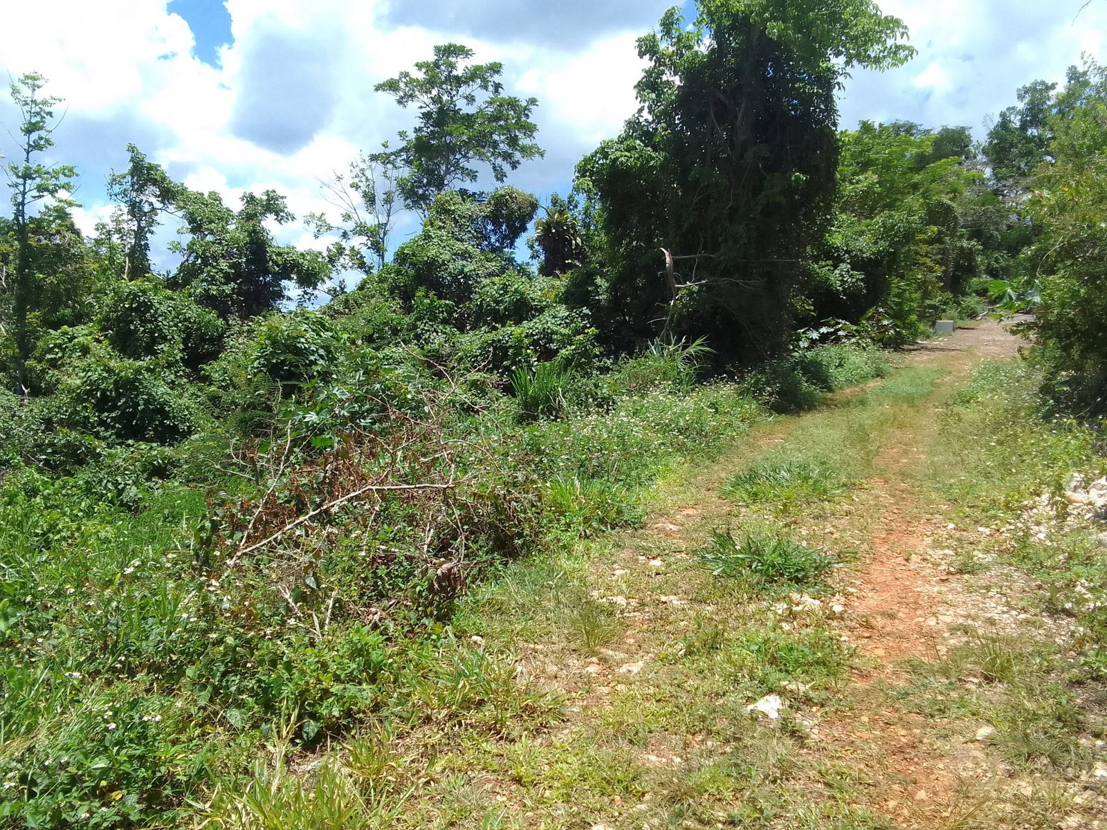 Development-Land-for-Sale-in-Lochaber-Belretiro-Manchester-Jamaica Fifth image of Lochaber, Belretiro in Richmond, Manchester, Jamaica - property is For Sale