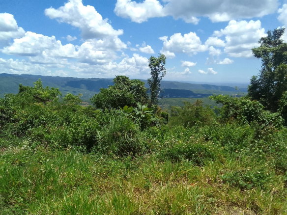 First image of Lochaber, Belretiro in Richmond, Manchester, Jamaica - property is For Sale