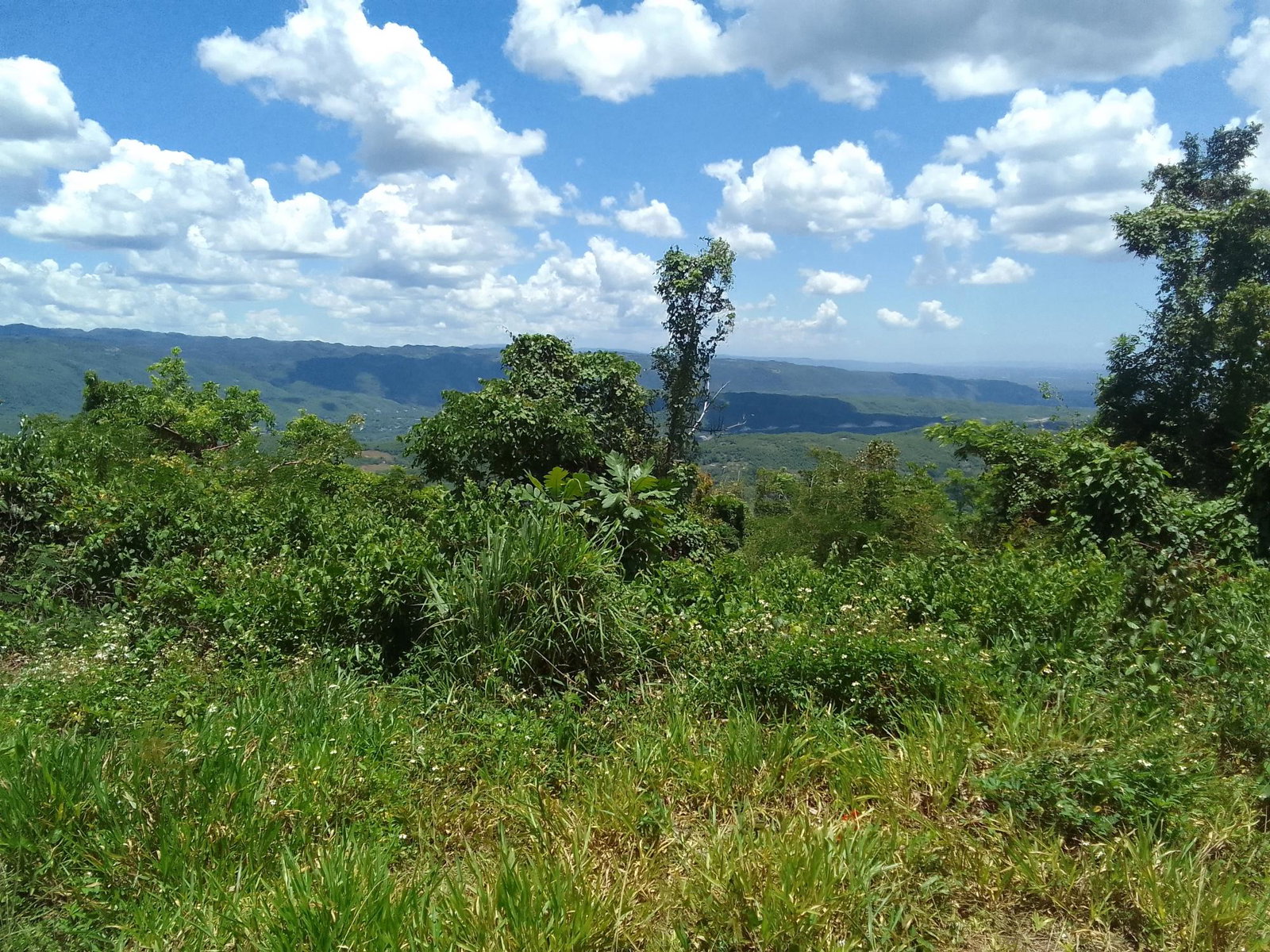Development-Land-for-Sale-in-Lochaber-Belretiro-Manchester-Jamaica First image of Lochaber, Belretiro in Richmond, Manchester, Jamaica - property is For Sale