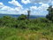 First image of Lochaber, Belretiro in Richmond, Manchester, Jamaica - property is For Sale