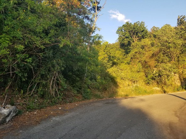 Sixth image of 188 Plantation Heights in Red Hills, St. Andrew, Jamaica - property is For Sale