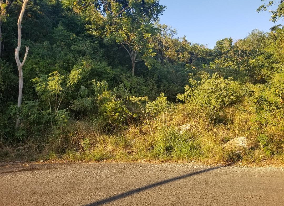 Eighth image of 188 Plantation Heights in Red Hills, St. Andrew, Jamaica - property is For Sale