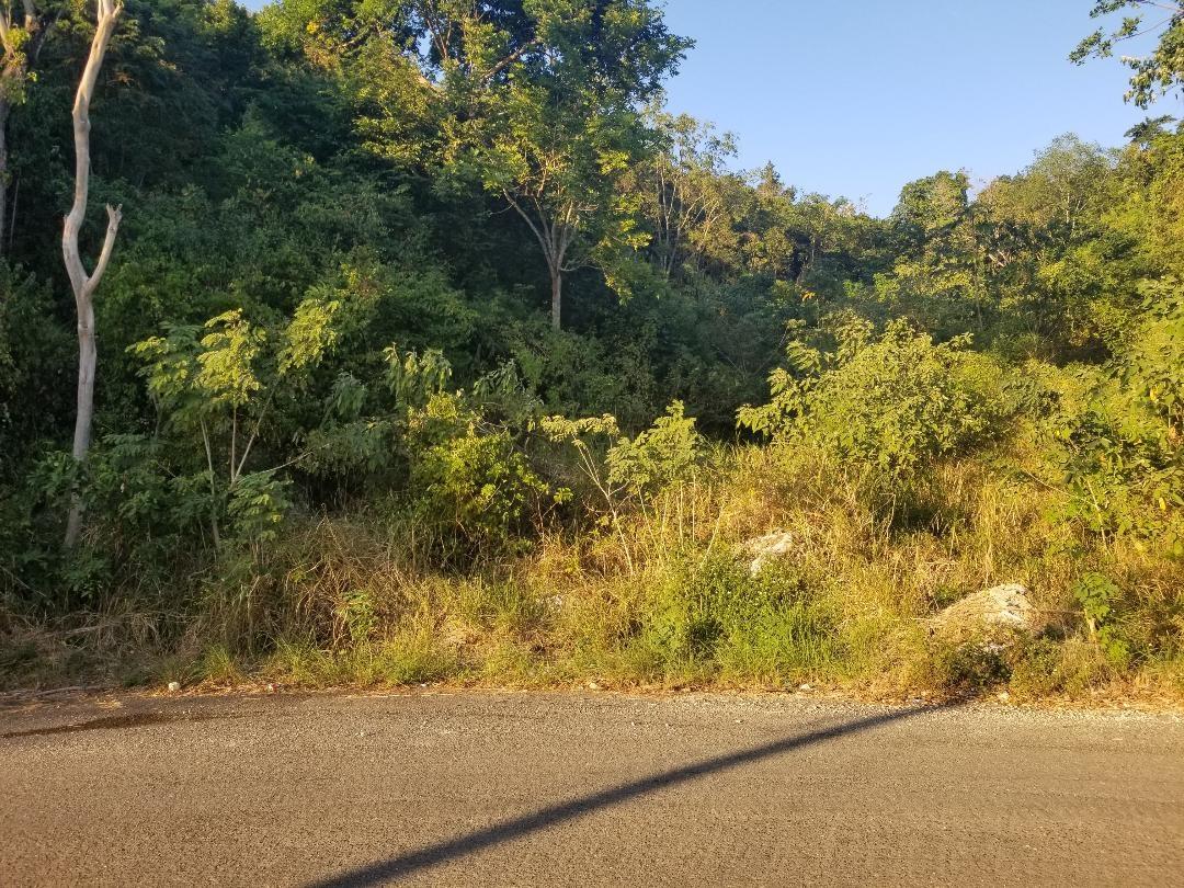 Eighth image of 188 Plantation Heights in Red Hills, St. Andrew, Jamaica - property is For Sale