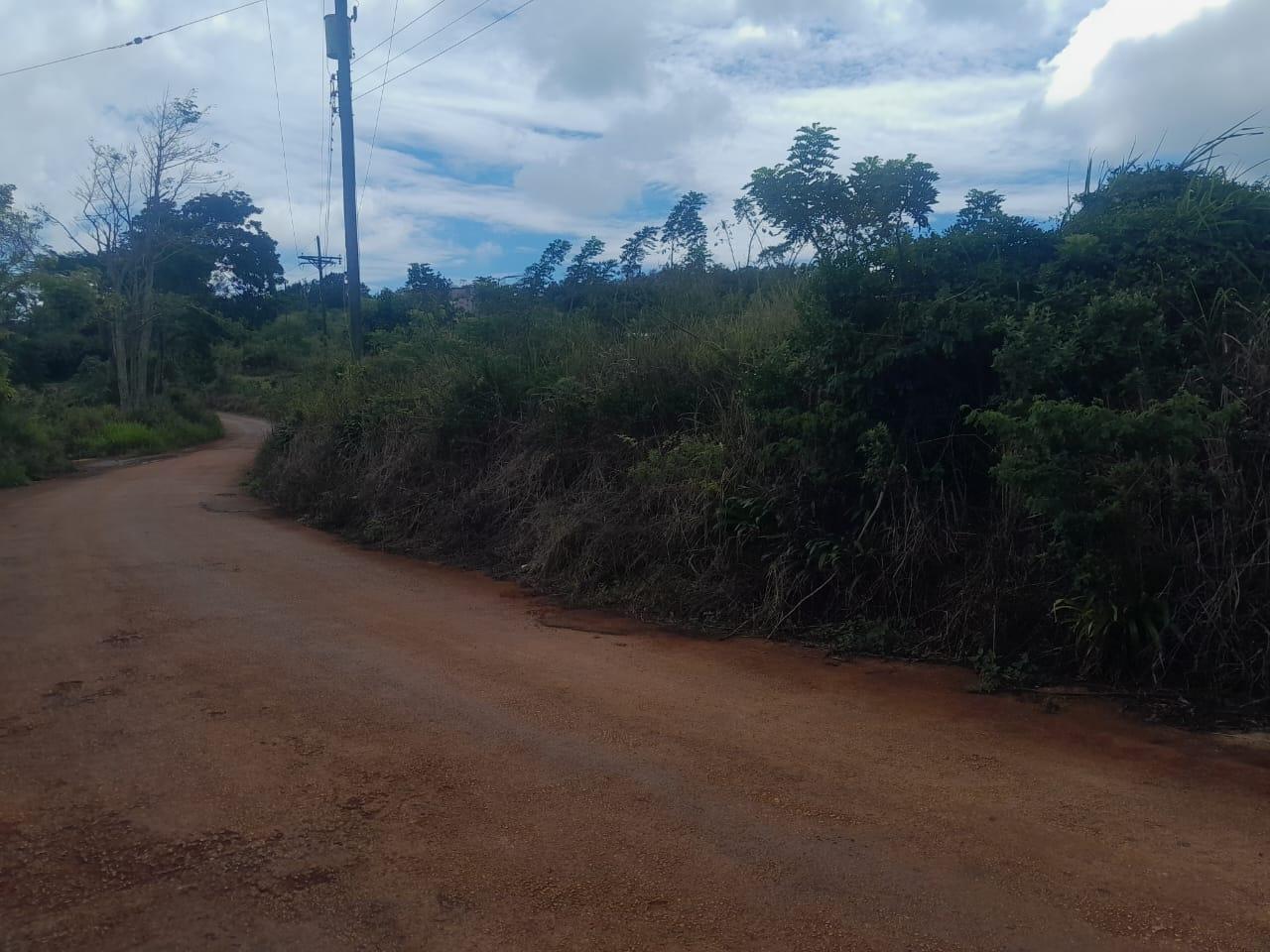 Development-Land-for-Sale-in-Potsdam-St.-Elizabeth-Jamaica-–-8.297-Acres-Residential-Opportunity Second image of Potsdam, Munroe in Potsdam, St. Elizabeth, Jamaica - property is For Sale