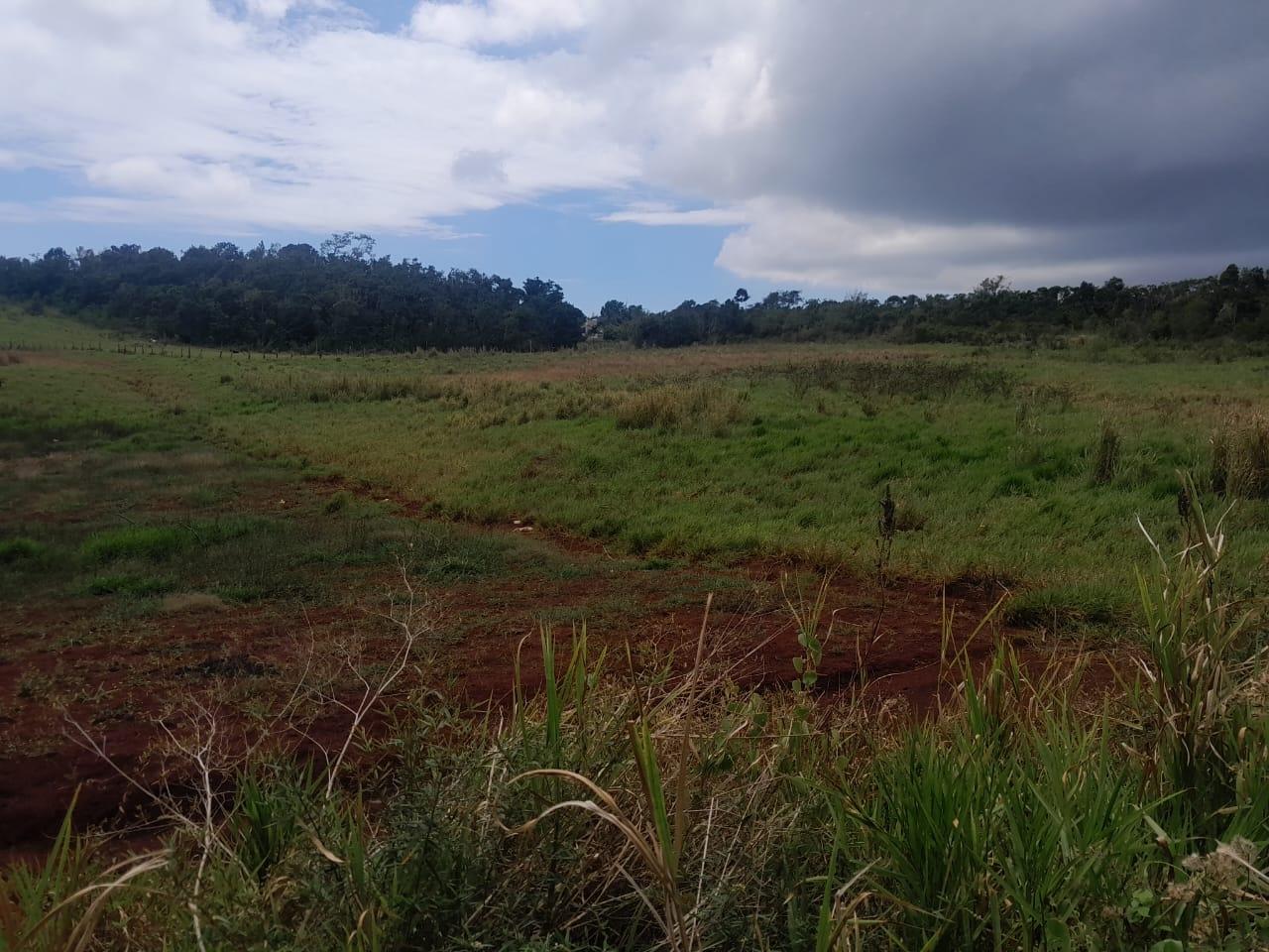 Development-Land-for-Sale-in-Potsdam-St.-Elizabeth-Jamaica-–-8.297-Acres-Residential-Opportunity Eleventh image of Potsdam, Munroe in Potsdam, St. Elizabeth, Jamaica - property is For Sale