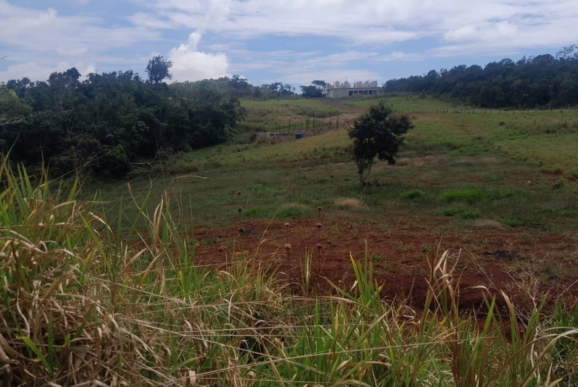 Twelfth image of Potsdam, Munroe in Potsdam, St. Elizabeth, Jamaica - property is For Sale