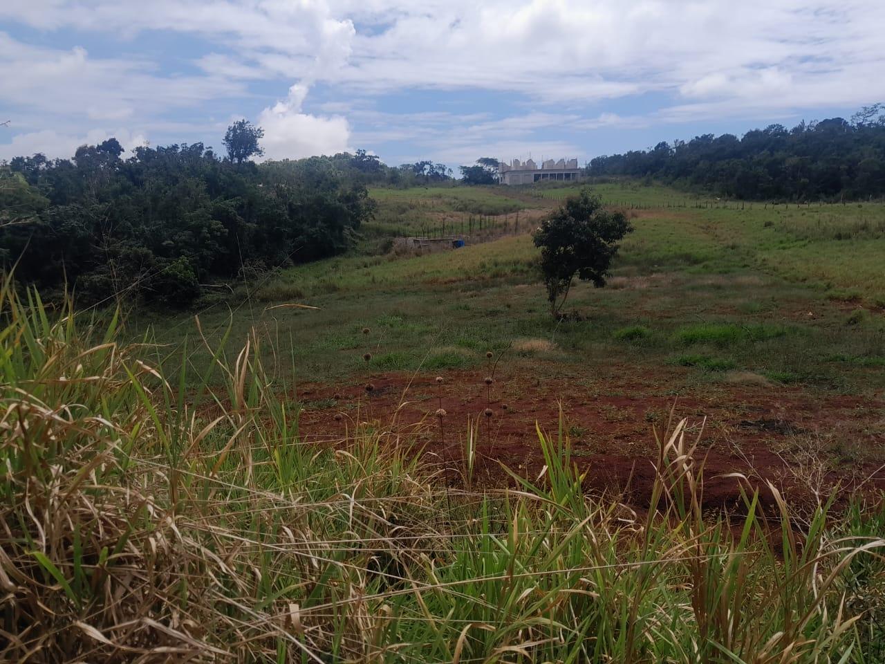 Development-Land-for-Sale-in-Potsdam-St.-Elizabeth-Jamaica-–-8.297-Acres-Residential-Opportunity Twelfth image of Potsdam, Munroe in Potsdam, St. Elizabeth, Jamaica - property is For Sale