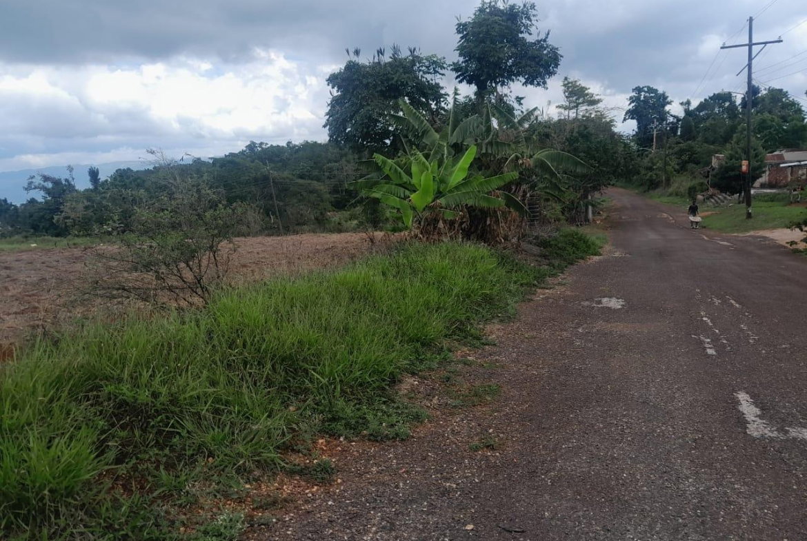 Third image of Potsdam, Munroe in Potsdam, St. Elizabeth, Jamaica - property is For Sale