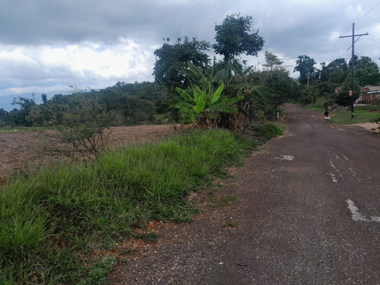 Development-Land-for-Sale-in-Potsdam-St.-Elizabeth-Jamaica-–-8.297-Acres-Residential-Opportunity Third image of Potsdam, Munroe in Potsdam, St. Elizabeth, Jamaica - property is For Sale