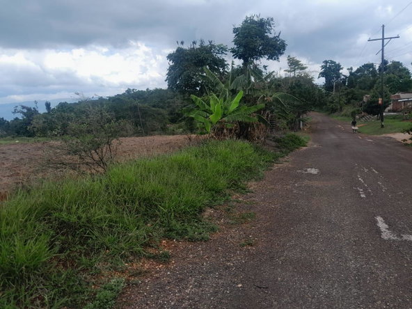 Third image of Potsdam, Munroe in Potsdam, St. Elizabeth, Jamaica - property is For Sale