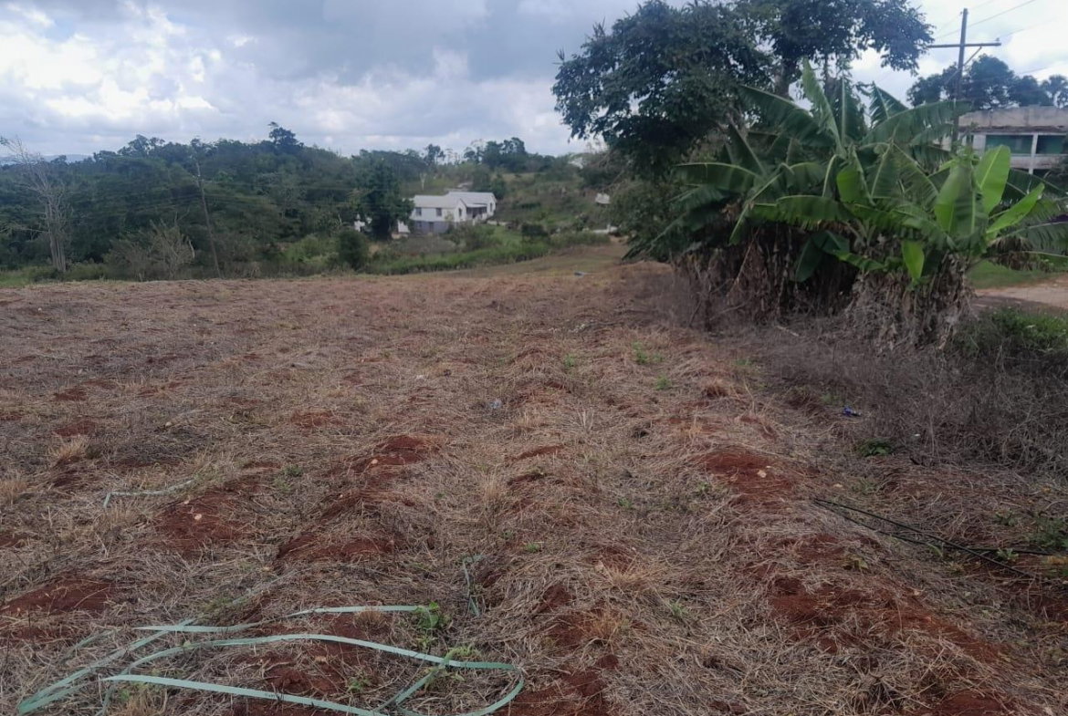 Fourth image of Potsdam, Munroe in Potsdam, St. Elizabeth, Jamaica - property is For Sale