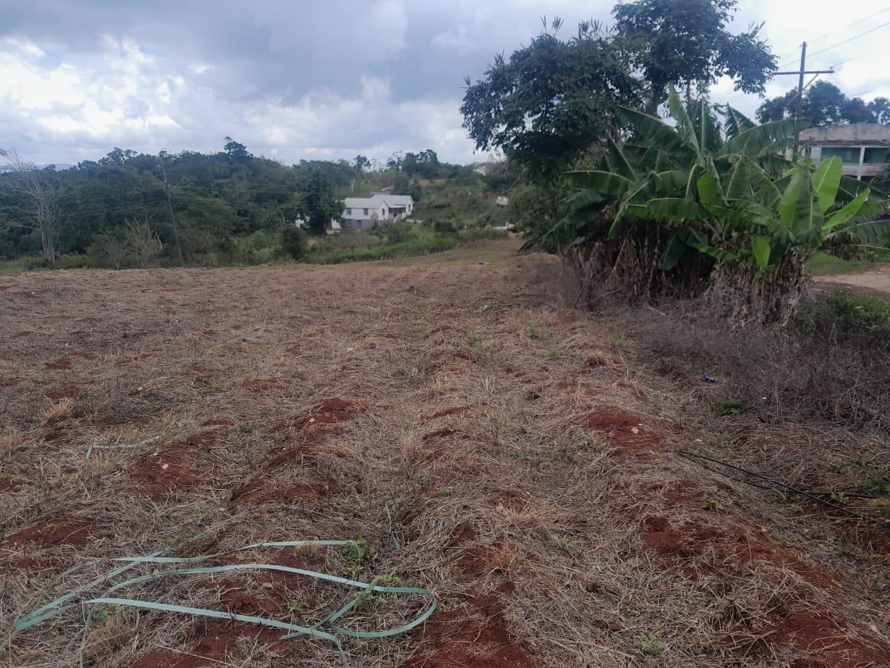 Development-Land-for-Sale-in-Potsdam-St.-Elizabeth-Jamaica-–-8.297-Acres-Residential-Opportunity Fourth image of Potsdam, Munroe in Potsdam, St. Elizabeth, Jamaica - property is For Sale