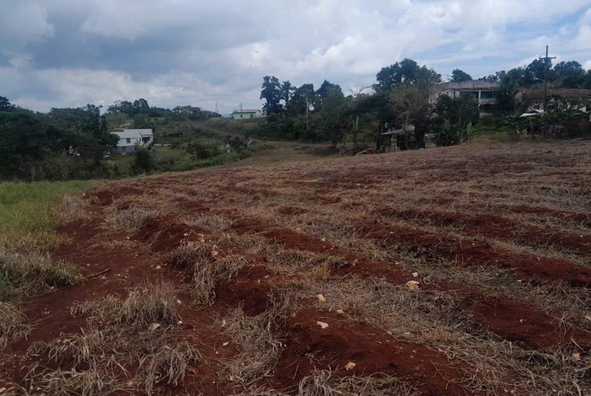 Fifth image of Potsdam, Munroe in Potsdam, St. Elizabeth, Jamaica - property is For Sale