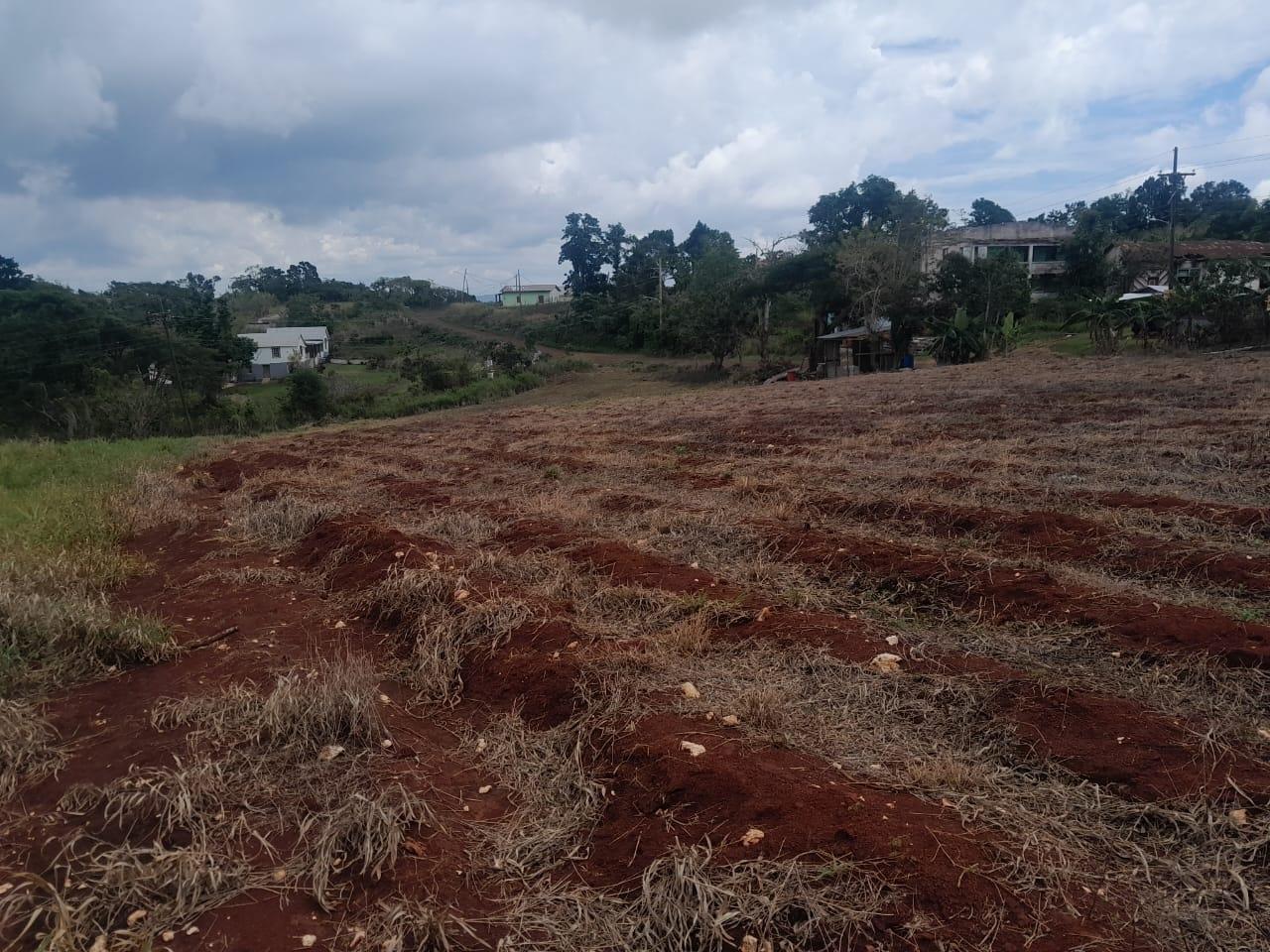 Development-Land-for-Sale-in-Potsdam-St.-Elizabeth-Jamaica-–-8.297-Acres-Residential-Opportunity Fifth image of Potsdam, Munroe in Potsdam, St. Elizabeth, Jamaica - property is For Sale