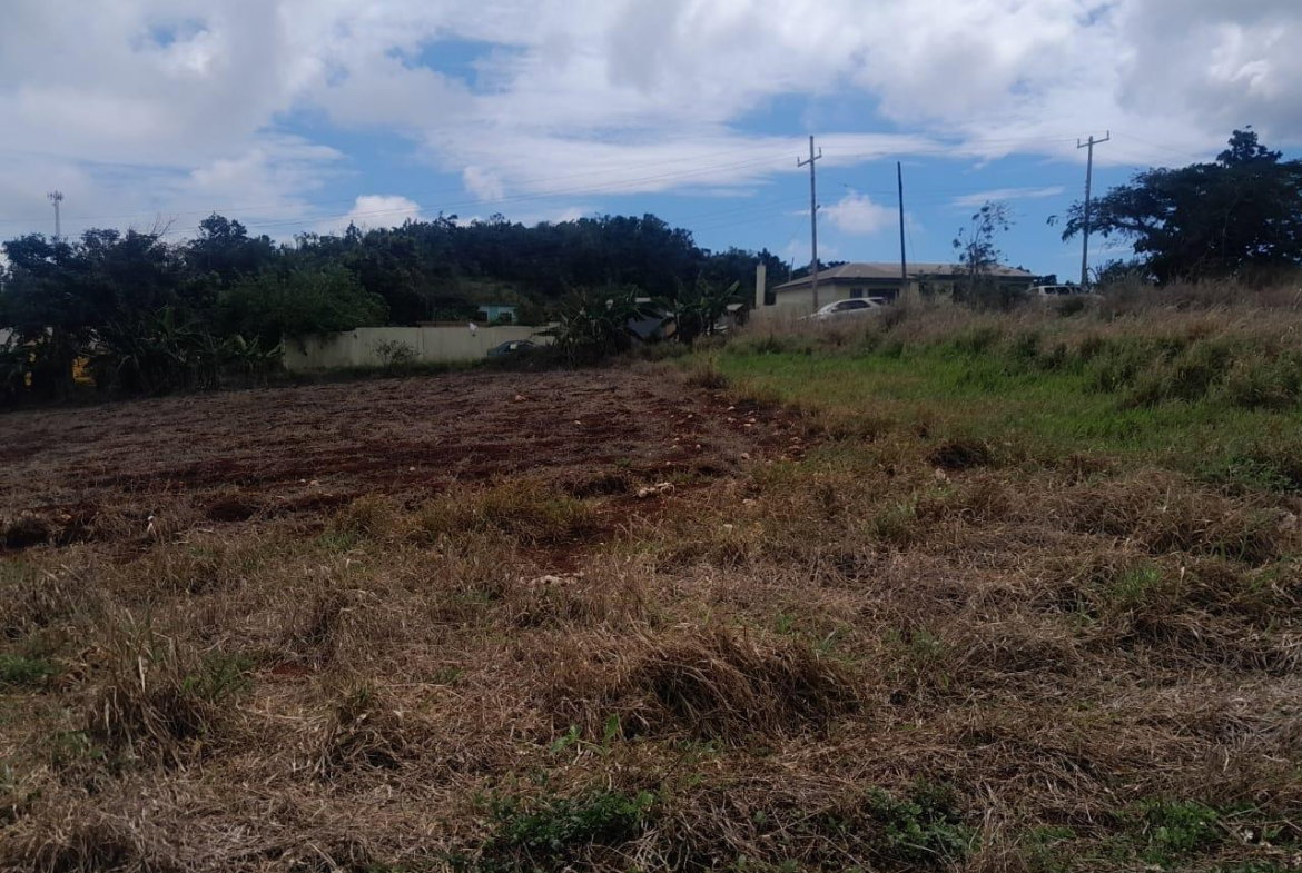 Sixth image of Potsdam, Munroe in Potsdam, St. Elizabeth, Jamaica - property is For Sale