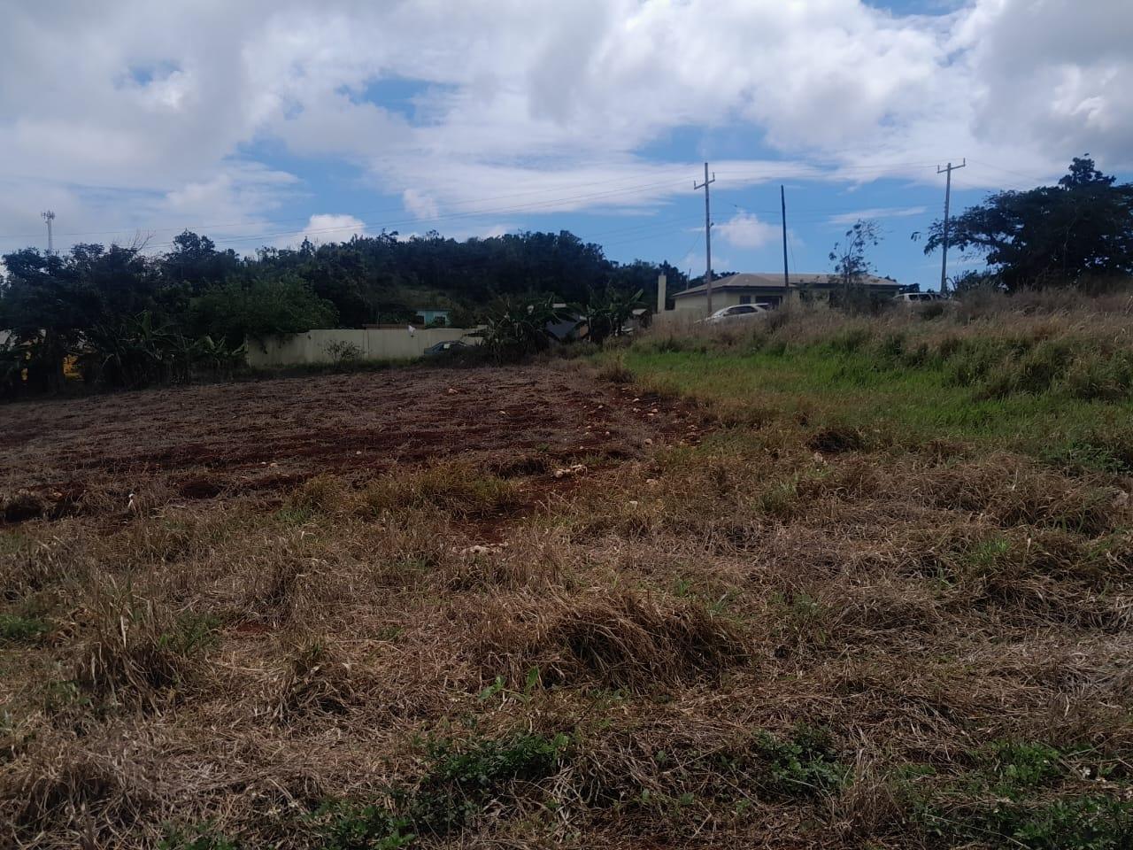 Development-Land-for-Sale-in-Potsdam-St.-Elizabeth-Jamaica-–-8.297-Acres-Residential-Opportunity Sixth image of Potsdam, Munroe in Potsdam, St. Elizabeth, Jamaica - property is For Sale
