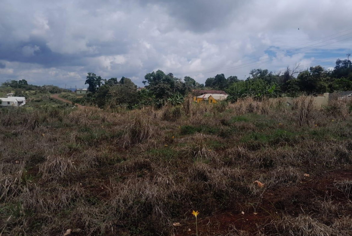 Eighth image of Potsdam, Munroe in Potsdam, St. Elizabeth, Jamaica - property is For Sale
